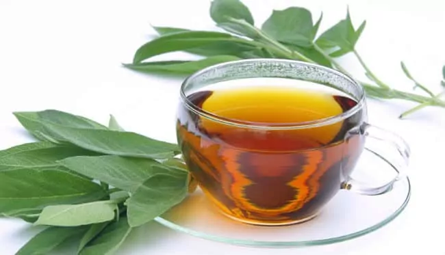 16 Beneficios del Té de Guaco – Para Que Sirve y Consejos