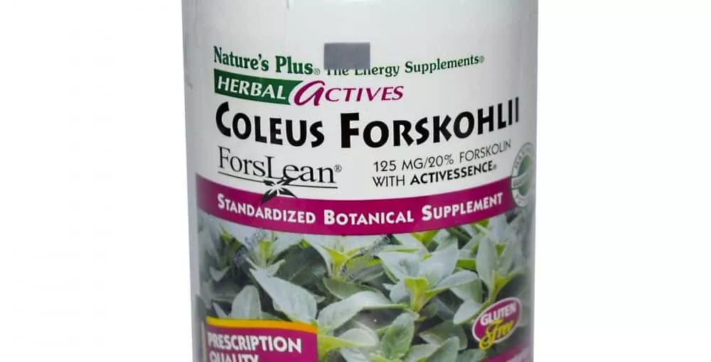 Coleus Forskohlii: Beneficios, Efectos Secundarios y Como Tomar
