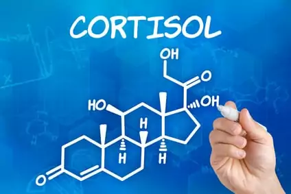 Como el Cortisol Influye en su Entrenamiento
