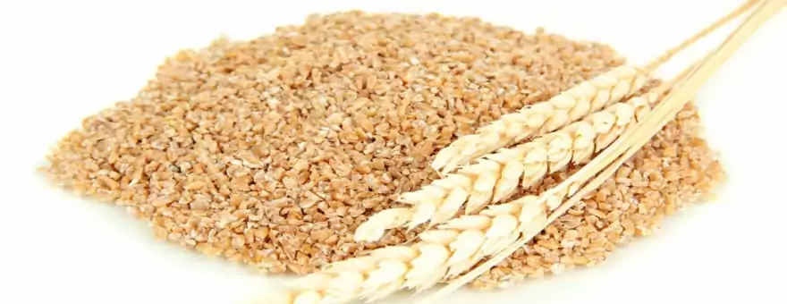 El germen de trigo engorda o adelgaza? ¿Para Qué Sirve?