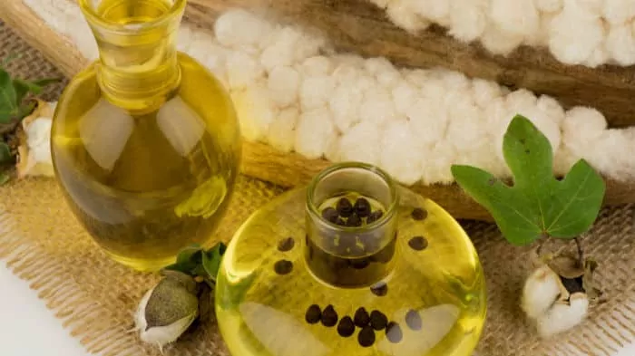 10 Beneficios del aceite de algodón - Para que sirve y consejos