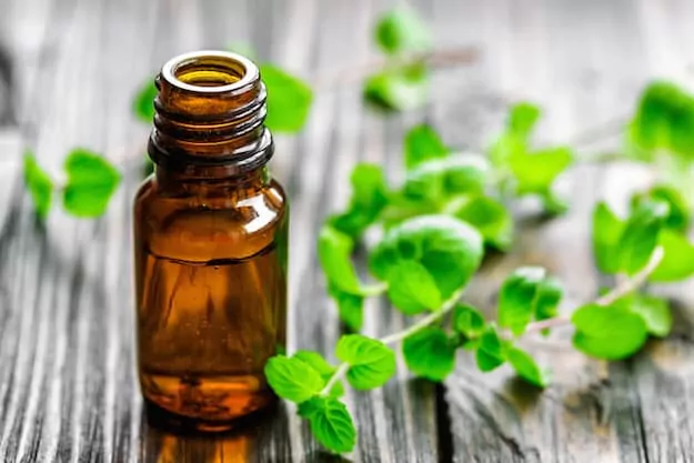 15 Beneficios del aceite de menta - para que sirve y consejos