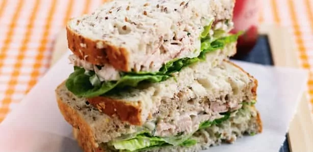 7 Recetas de Sandwich de Horno Light
